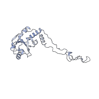 13435_7pib_c_v1-1
70S ribosome with EF-G, A/P- and P/E-site tRNAs in spectinomycin-treated Mycoplasma pneumoniae cells