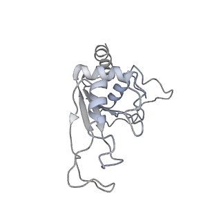 13435_7pib_d_v1-1
70S ribosome with EF-G, A/P- and P/E-site tRNAs in spectinomycin-treated Mycoplasma pneumoniae cells