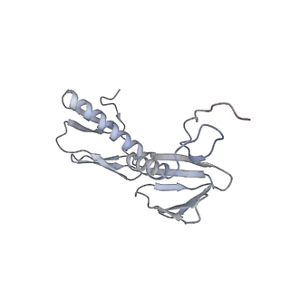 13435_7pib_e_v1-1
70S ribosome with EF-G, A/P- and P/E-site tRNAs in spectinomycin-treated Mycoplasma pneumoniae cells