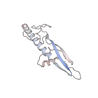 13435_7pib_f_v1-1
70S ribosome with EF-G, A/P- and P/E-site tRNAs in spectinomycin-treated Mycoplasma pneumoniae cells