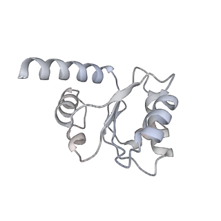 13435_7pib_g_v1-1
70S ribosome with EF-G, A/P- and P/E-site tRNAs in spectinomycin-treated Mycoplasma pneumoniae cells