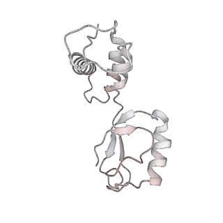 13435_7pib_h_v1-1
70S ribosome with EF-G, A/P- and P/E-site tRNAs in spectinomycin-treated Mycoplasma pneumoniae cells