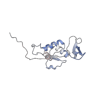 13435_7pib_i_v1-1
70S ribosome with EF-G, A/P- and P/E-site tRNAs in spectinomycin-treated Mycoplasma pneumoniae cells
