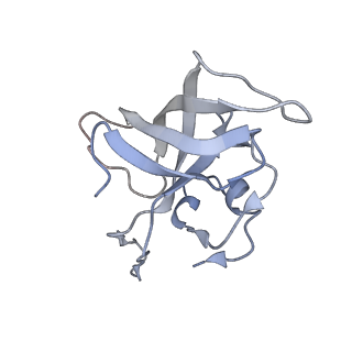 13435_7pib_j_v1-1
70S ribosome with EF-G, A/P- and P/E-site tRNAs in spectinomycin-treated Mycoplasma pneumoniae cells