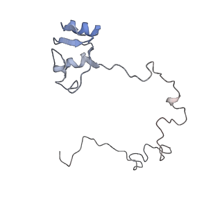 13435_7pib_k_v1-1
70S ribosome with EF-G, A/P- and P/E-site tRNAs in spectinomycin-treated Mycoplasma pneumoniae cells