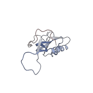 13435_7pib_l_v1-1
70S ribosome with EF-G, A/P- and P/E-site tRNAs in spectinomycin-treated Mycoplasma pneumoniae cells