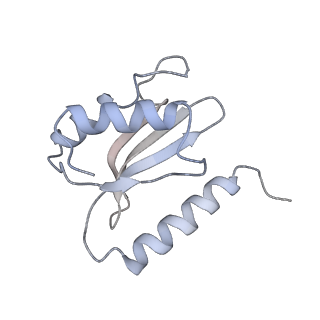 13435_7pib_n_v1-1
70S ribosome with EF-G, A/P- and P/E-site tRNAs in spectinomycin-treated Mycoplasma pneumoniae cells