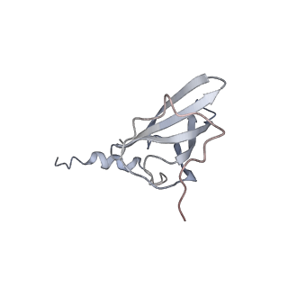 13435_7pib_o_v1-1
70S ribosome with EF-G, A/P- and P/E-site tRNAs in spectinomycin-treated Mycoplasma pneumoniae cells