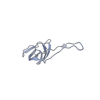 13435_7pib_q_v1-1
70S ribosome with EF-G, A/P- and P/E-site tRNAs in spectinomycin-treated Mycoplasma pneumoniae cells