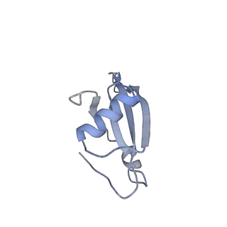 13435_7pib_s_v1-1
70S ribosome with EF-G, A/P- and P/E-site tRNAs in spectinomycin-treated Mycoplasma pneumoniae cells