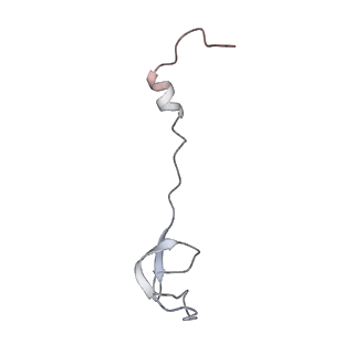 13435_7pib_y_v1-1
70S ribosome with EF-G, A/P- and P/E-site tRNAs in spectinomycin-treated Mycoplasma pneumoniae cells