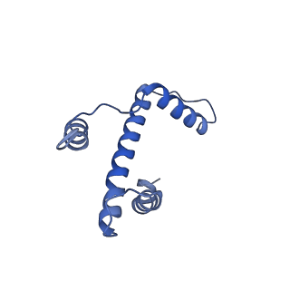 13437_7pii_A_v1-1
Structure of the human CCAN CENP-A alpha-satellite complex