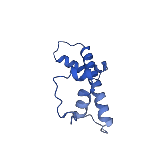 13437_7pii_C_v1-1
Structure of the human CCAN CENP-A alpha-satellite complex