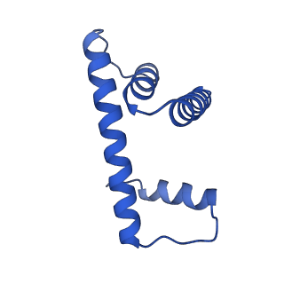 13437_7pii_D_v1-1
Structure of the human CCAN CENP-A alpha-satellite complex