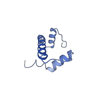 13437_7pii_F_v1-1
Structure of the human CCAN CENP-A alpha-satellite complex