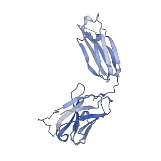 13438_7pij_H_v1-2
Structure of Staphylococcus capitis divalent metal ion transporter (DMT) by NabFab-fiducial assisted cryo-EM