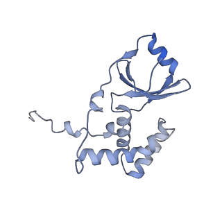 13439_7pik_A_v1-1
Cryo-EM structure of E. coli TnsB in complex with right end fragment of Tn7 transposon