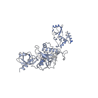 13439_7pik_B_v1-1
Cryo-EM structure of E. coli TnsB in complex with right end fragment of Tn7 transposon