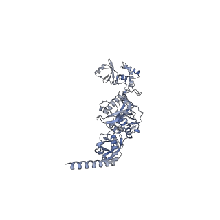 13439_7pik_C_v1-1
Cryo-EM structure of E. coli TnsB in complex with right end fragment of Tn7 transposon