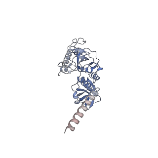 13439_7pik_D_v1-1
Cryo-EM structure of E. coli TnsB in complex with right end fragment of Tn7 transposon