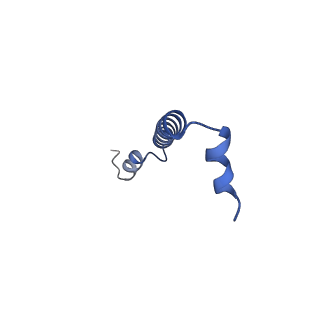 13441_7pil_AG_v1-1
Cryo-EM structure of the Rhodobacter sphaeroides RC-LH1-PufXY monomer complex at 2.5 A