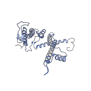 13441_7pil_L_v1-1
Cryo-EM structure of the Rhodobacter sphaeroides RC-LH1-PufXY monomer complex at 2.5 A
