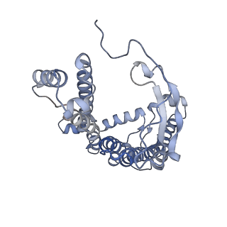 13441_7pil_M_v1-1
Cryo-EM structure of the Rhodobacter sphaeroides RC-LH1-PufXY monomer complex at 2.5 A