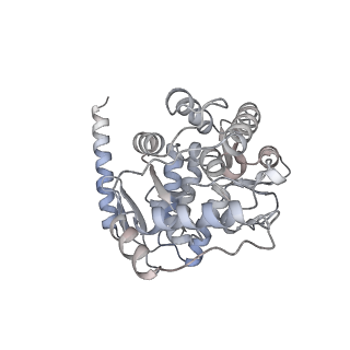 13442_7pim_A_v1-1
Partial structure of tyrosine hydroxylase lacking the first 35 residues in complex with dopamine.