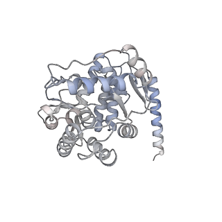 13442_7pim_B_v1-1
Partial structure of tyrosine hydroxylase lacking the first 35 residues in complex with dopamine.