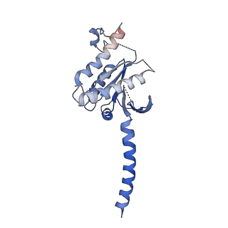 13453_7piu_A_v1-0
Cryo-EM structure of the agonist setmelanotide bound to the active melanocortin-4 receptor (MC4R) in complex with the heterotrimeric Gs protein at 2.6 A resolution.