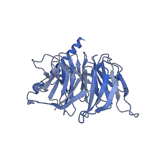 13453_7piu_B_v1-0
Cryo-EM structure of the agonist setmelanotide bound to the active melanocortin-4 receptor (MC4R) in complex with the heterotrimeric Gs protein at 2.6 A resolution.