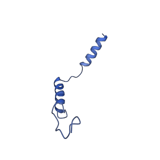 13453_7piu_G_v1-0
Cryo-EM structure of the agonist setmelanotide bound to the active melanocortin-4 receptor (MC4R) in complex with the heterotrimeric Gs protein at 2.6 A resolution.