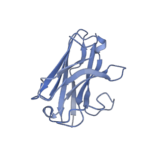 13453_7piu_N_v1-0
Cryo-EM structure of the agonist setmelanotide bound to the active melanocortin-4 receptor (MC4R) in complex with the heterotrimeric Gs protein at 2.6 A resolution.