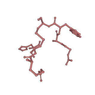 13453_7piu_P_v1-0
Cryo-EM structure of the agonist setmelanotide bound to the active melanocortin-4 receptor (MC4R) in complex with the heterotrimeric Gs protein at 2.6 A resolution.
