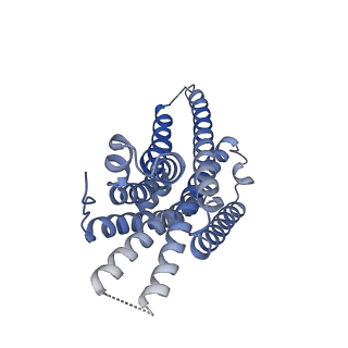 13453_7piu_R_v1-0
Cryo-EM structure of the agonist setmelanotide bound to the active melanocortin-4 receptor (MC4R) in complex with the heterotrimeric Gs protein at 2.6 A resolution.