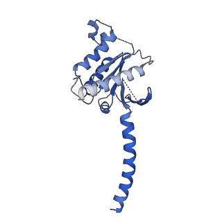 13454_7piv_A_v1-0
Active Melanocortin-4 receptor (MC4R)- Gs protein complex bound to agonist NDP-alpha-MSH at 2.86 A resolution.