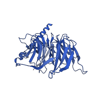 13454_7piv_B_v1-0
Active Melanocortin-4 receptor (MC4R)- Gs protein complex bound to agonist NDP-alpha-MSH at 2.86 A resolution.