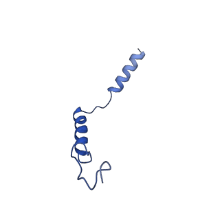 13454_7piv_G_v1-0
Active Melanocortin-4 receptor (MC4R)- Gs protein complex bound to agonist NDP-alpha-MSH at 2.86 A resolution.