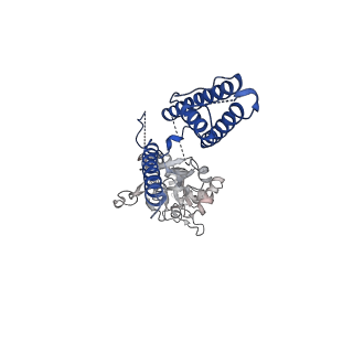 17692_8piv_C_v1-3
Homomeric GluA2 flip R/G-unedited Q/R-edited F231A mutant in tandem with TARP gamma-2, desensitized conformation 1
