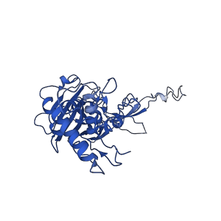 20349_6pif_C_v1-2
V. cholerae TniQ-Cascade complex, open conformation