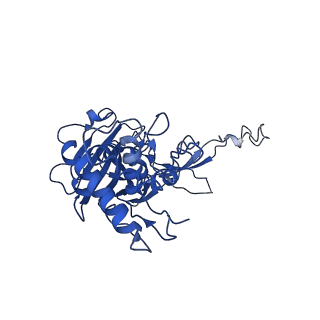 20349_6pif_C_v1-3
V. cholerae TniQ-Cascade complex, open conformation