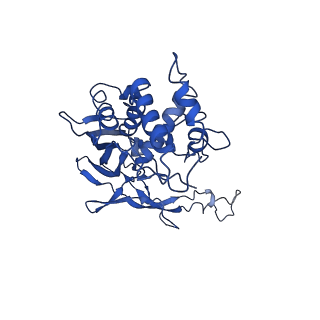 20349_6pif_D_v1-2
V. cholerae TniQ-Cascade complex, open conformation