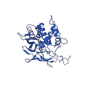 20349_6pif_D_v1-3
V. cholerae TniQ-Cascade complex, open conformation