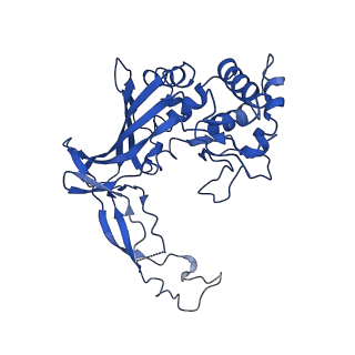 20349_6pif_E_v1-2
V. cholerae TniQ-Cascade complex, open conformation