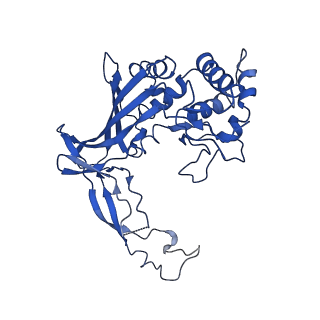 20349_6pif_E_v1-3
V. cholerae TniQ-Cascade complex, open conformation