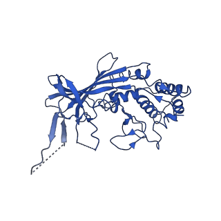 20349_6pif_F_v1-2
V. cholerae TniQ-Cascade complex, open conformation