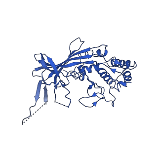 20349_6pif_F_v1-3
V. cholerae TniQ-Cascade complex, open conformation