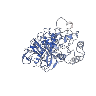 20349_6pif_G_v1-2
V. cholerae TniQ-Cascade complex, open conformation