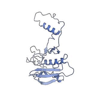 20349_6pif_H_v1-2
V. cholerae TniQ-Cascade complex, open conformation