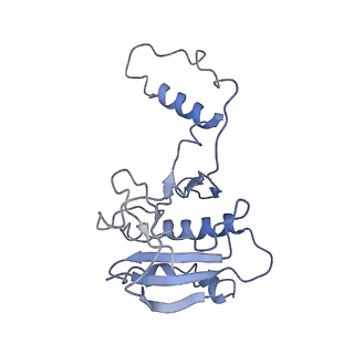 20349_6pif_H_v1-3
V. cholerae TniQ-Cascade complex, open conformation